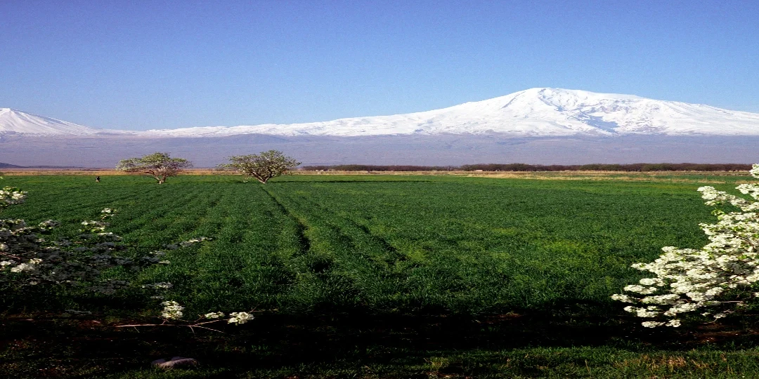 Armenia: A Premier Travel Destination for 2025